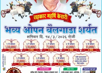 अकलूजमध्ये १४ मार्चला ‘सहकार महर्षि केसरी’ बैलगाडा शर्यतीचा थरार; पावणेपाच लाखांची बक्षिसे