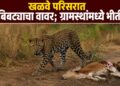 खळवे परिसरात बिबट्याचा वावर; ग्रामस्थांमध्ये भीतीचे वातावरण