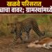 खळवे परिसरात बिबट्याचा वावर; ग्रामस्थांमध्ये भीतीचे वातावरण